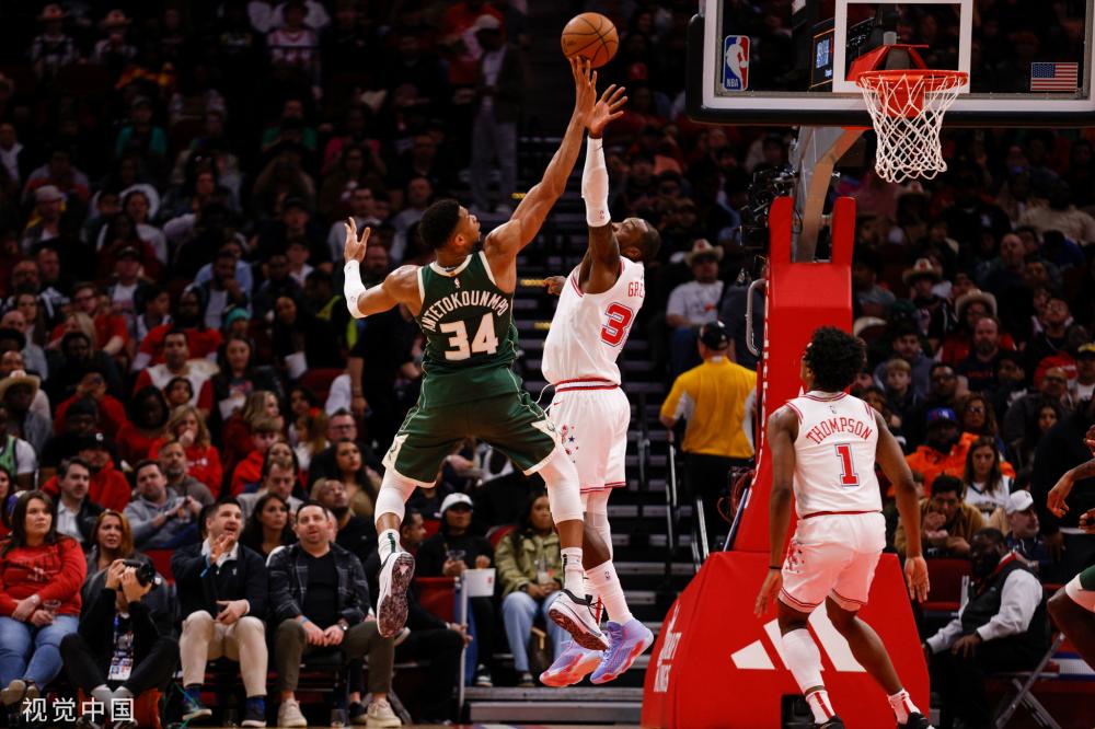 在新潟天鹅 在新潟天鹅