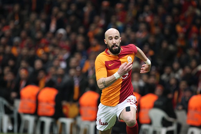 与罗马这样 与罗马这样